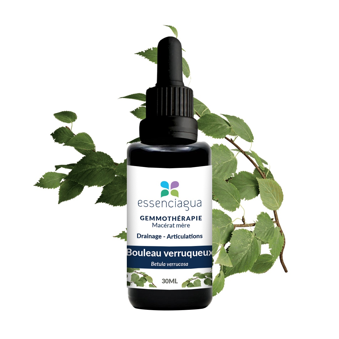 Macerato di gemme di betulla 100% biologico e artigianale