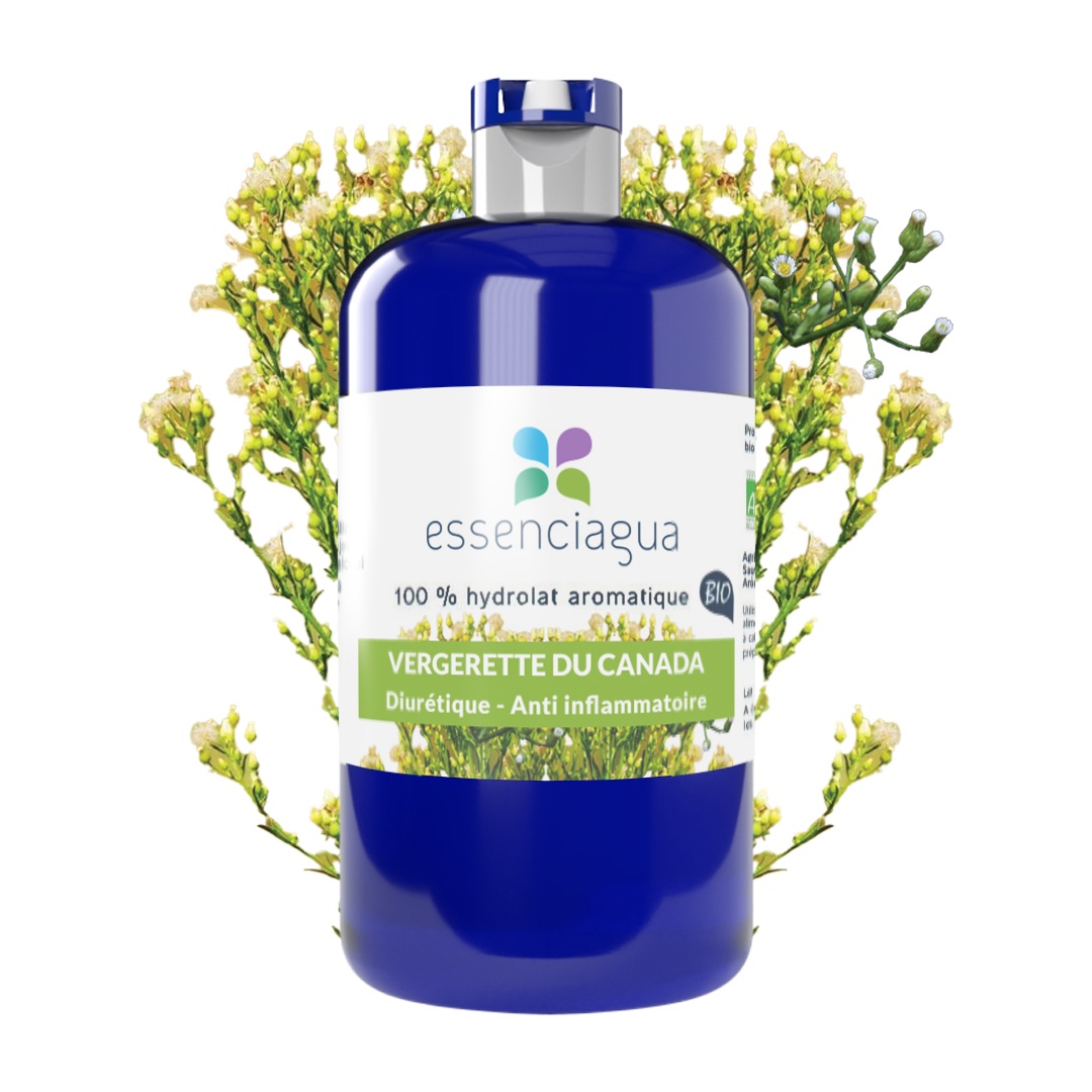 Idrolato di Vergerette du Canada 100% biologico e artigianale