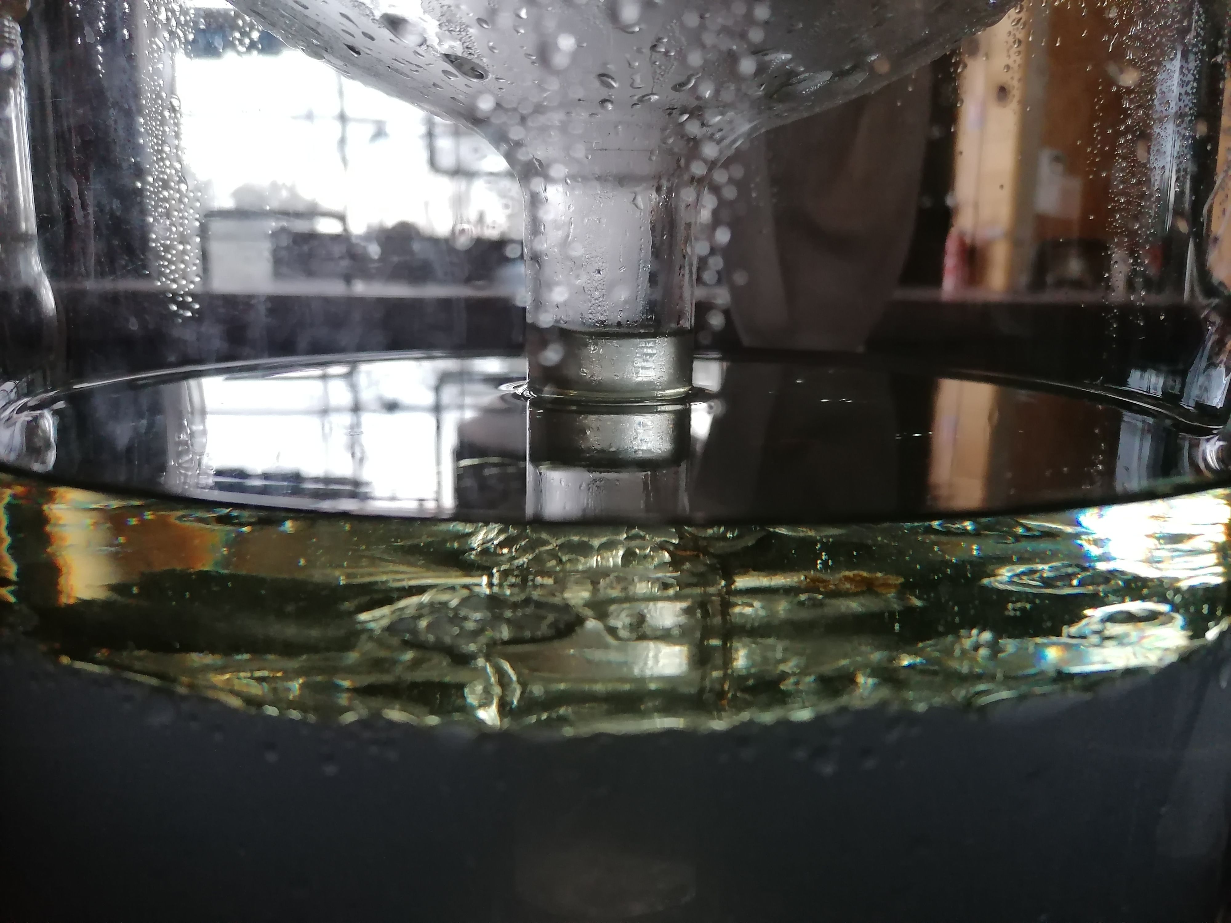 Decouvrez la distillation Olio essenziale di ginepro 100% biologico e artigianale
