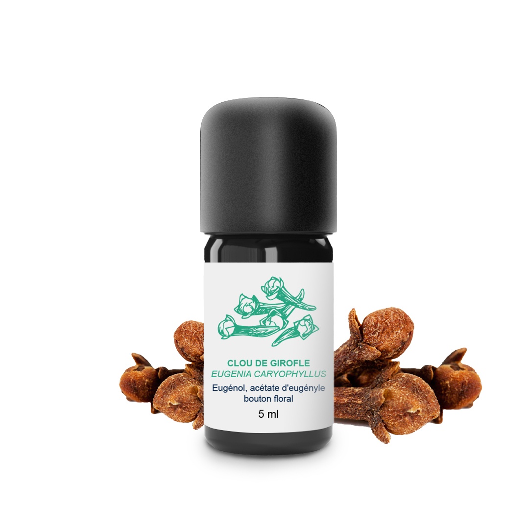 Olio essenziale di chiodi di garofano 100% biologico e artigianale