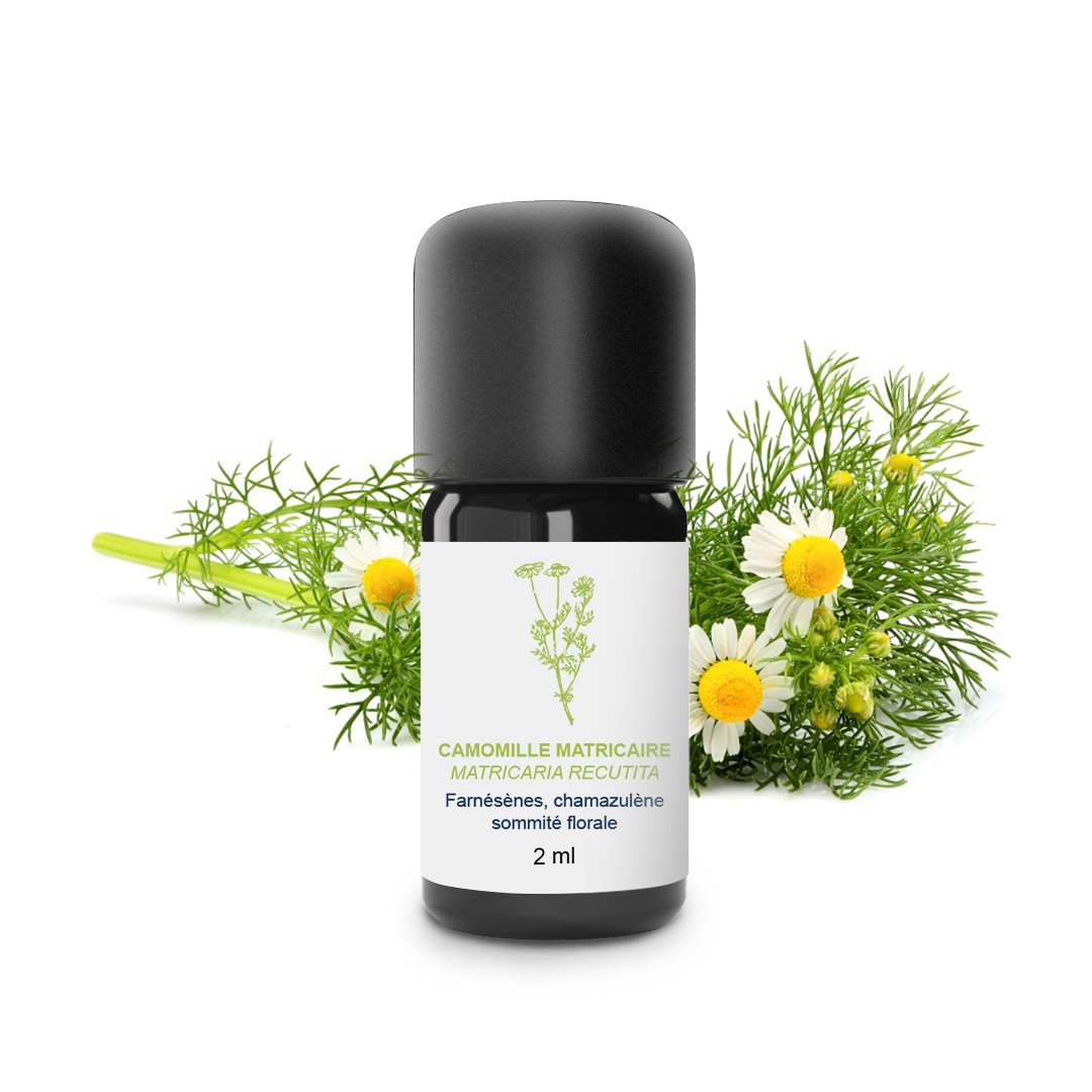 Olio essenziale di camomilla matricaria 100% biologico e artigianale