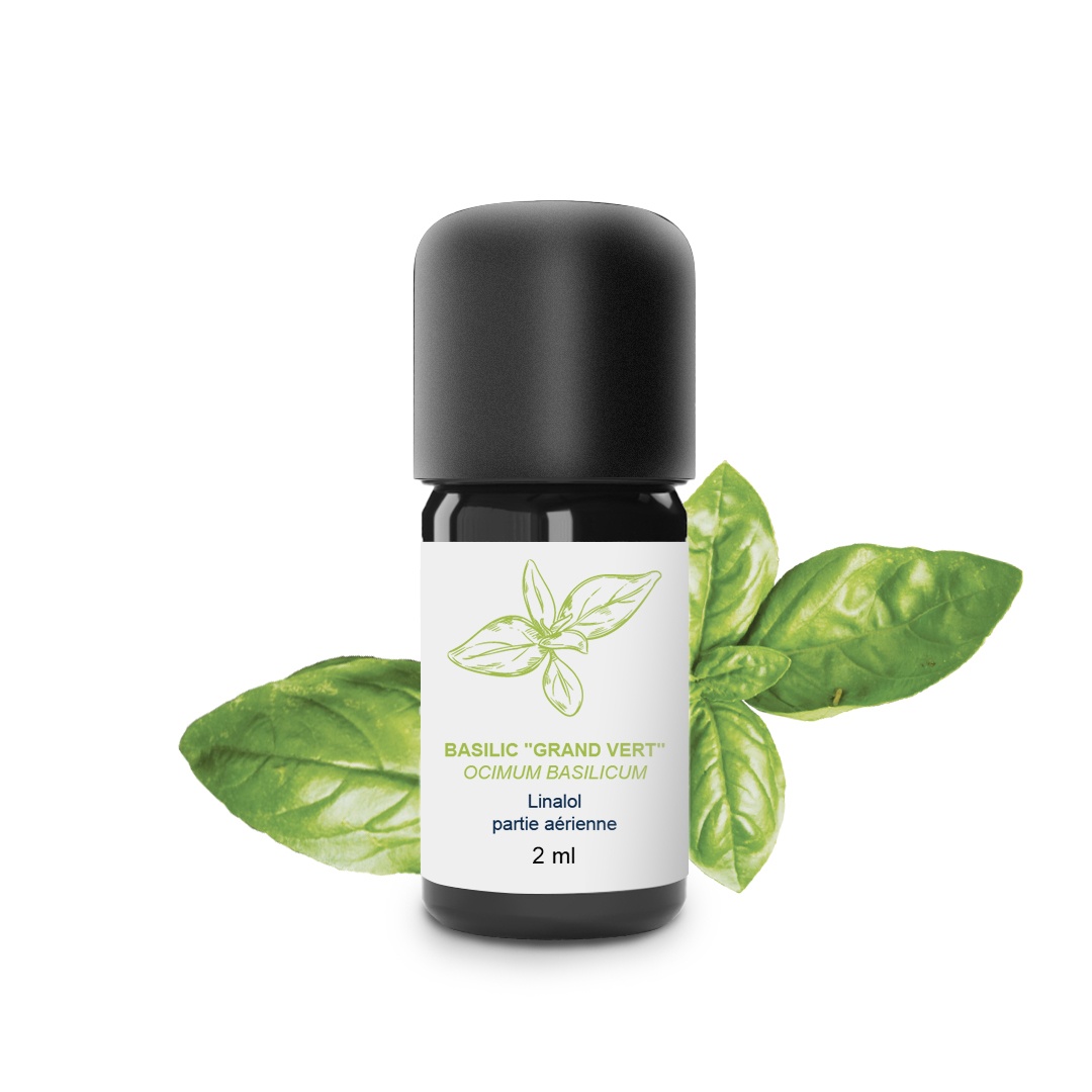 Olio essenziale di basilico 100% biologico e artigianale