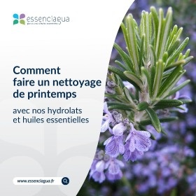 Raccomandazioni per la disintossicazione di primavera