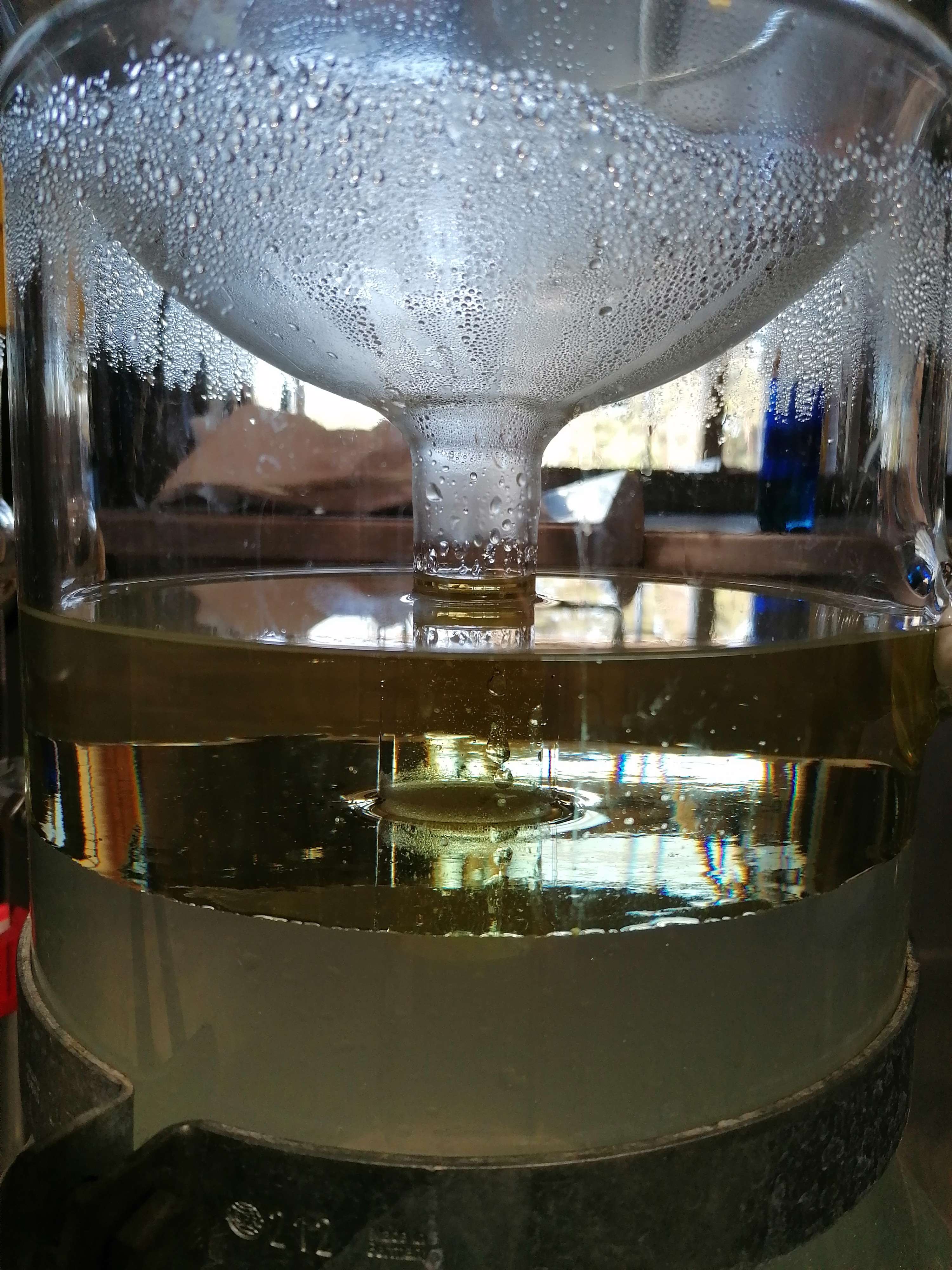 La distillazione di Menta piperita