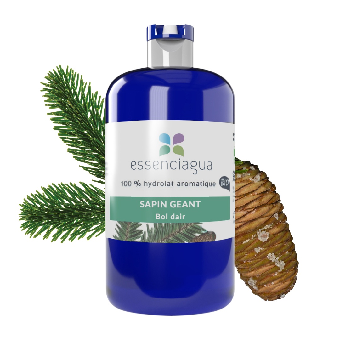 Idrolato di abete gigante 100% biologico e artigianale