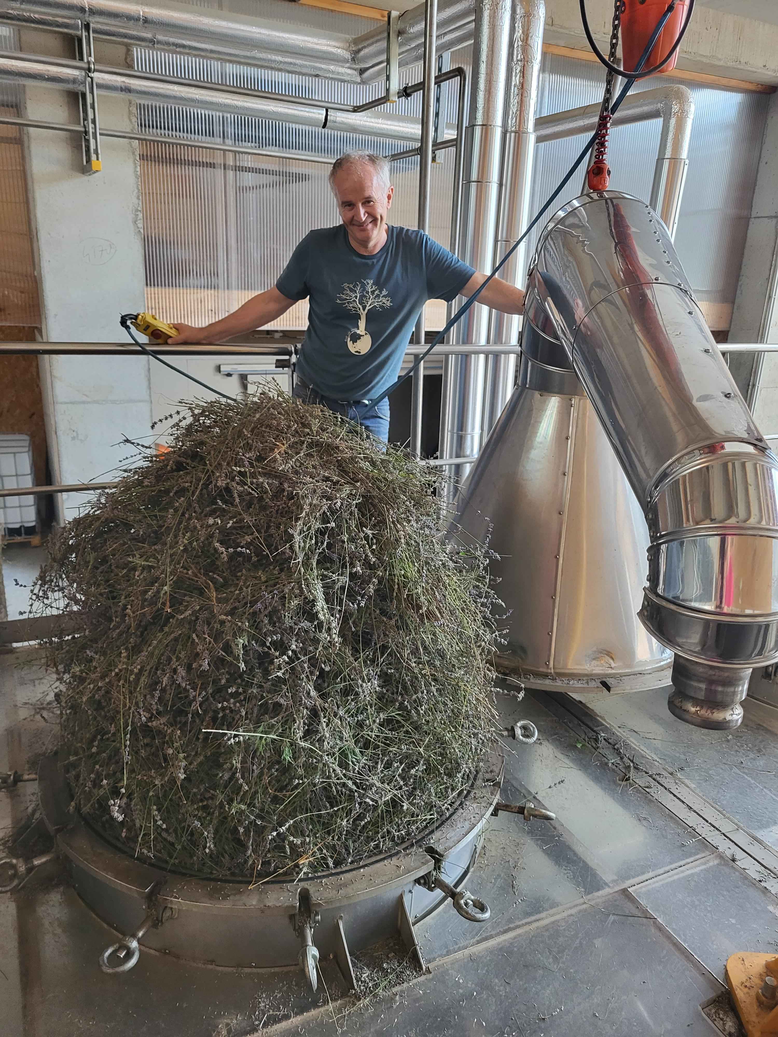 La distillazione di Lavandino abriale
