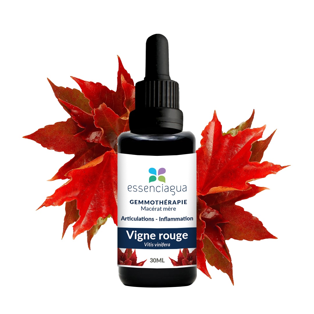 Macerato di gemme di vite rossa 100% biologico e artigianale