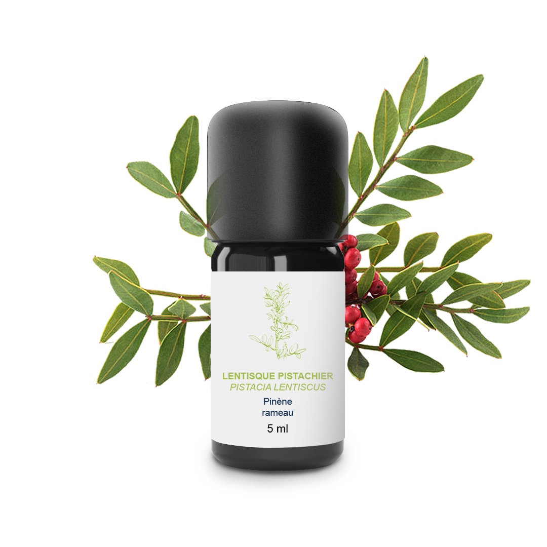 Olio essenziale di lentisco di pistacchio 100% biologico e artigianale