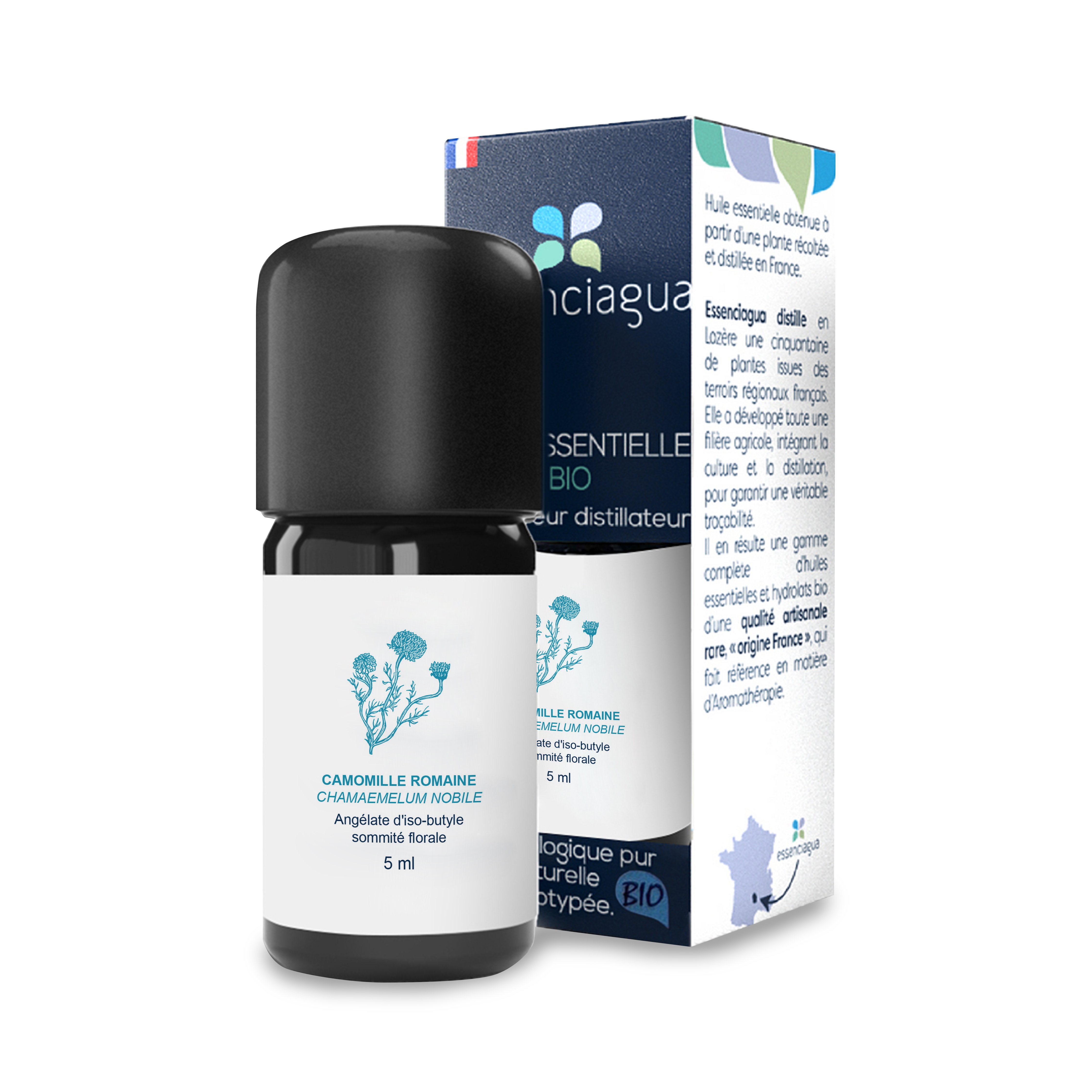 Olio essenziale di camomilla romana 100% biologico e artigianale — photo 3