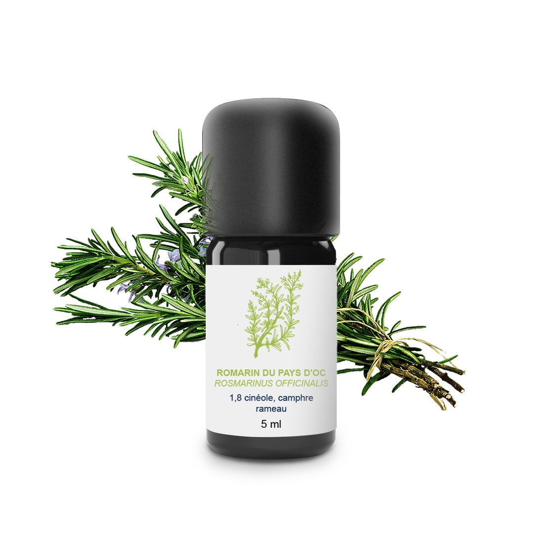 Olio essenziale di rosmarino del Pays d'Oc 100% biologico e artigianale