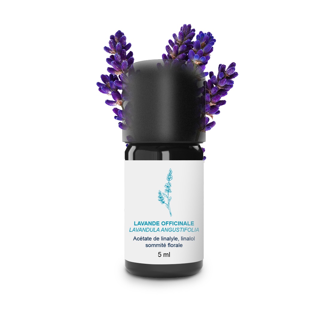 Olio essenziale di lavanda officinale 100% biologico e artigianale