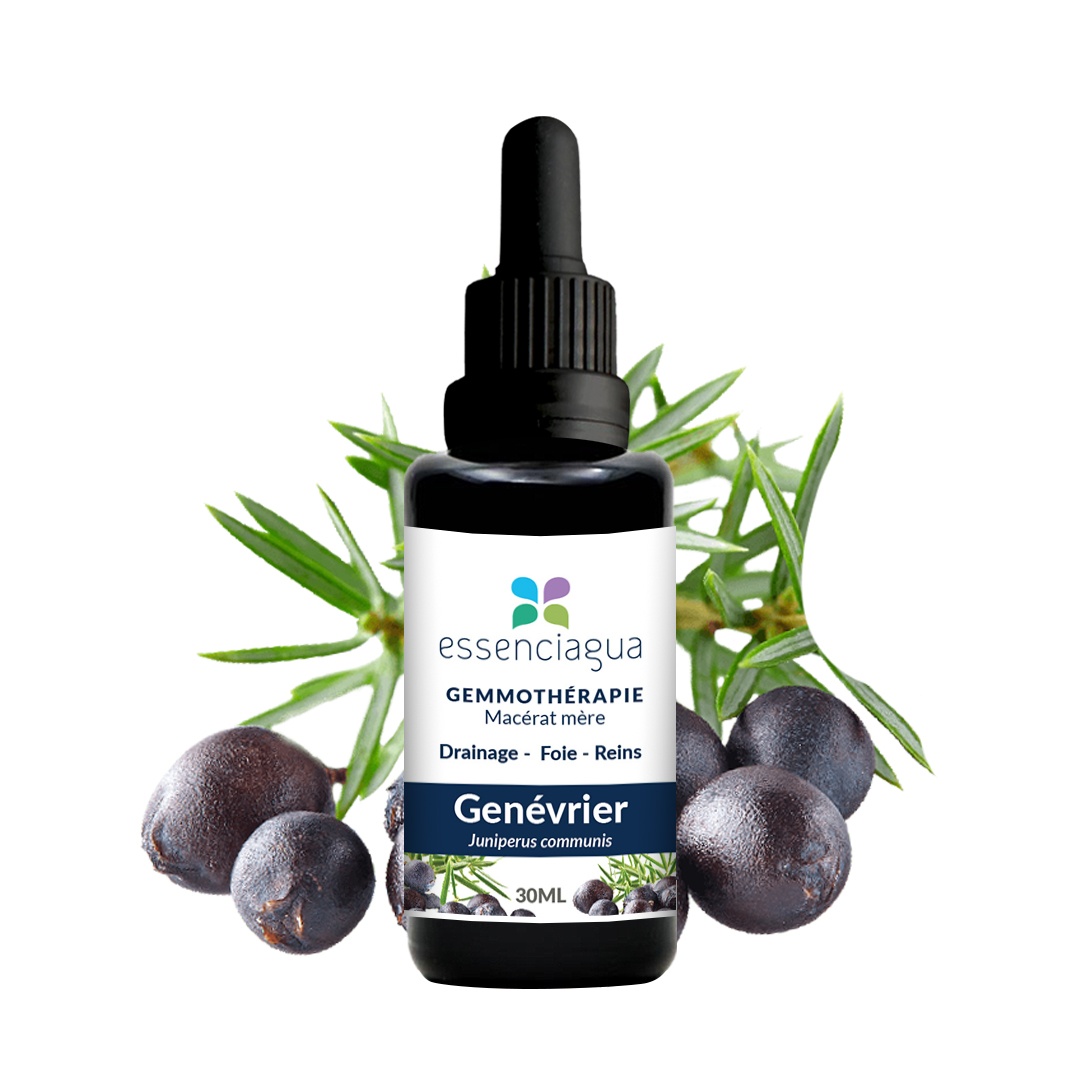 Macerato di gemme di ginepro biologico 100% biologico e artigianale