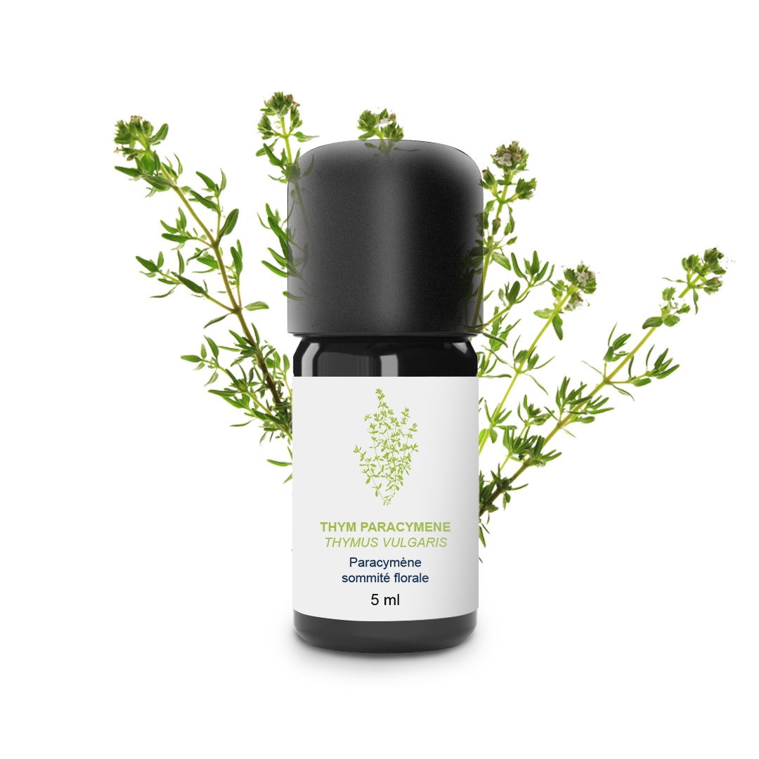 Olio essenziale di timo Paracymene 100% biologico e artigianale