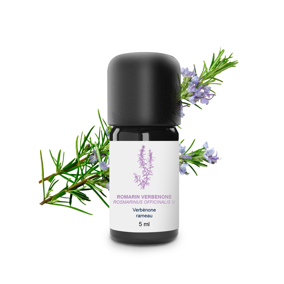 Olio essenziale di rosmarino verbenone 100% biologico e artigianale