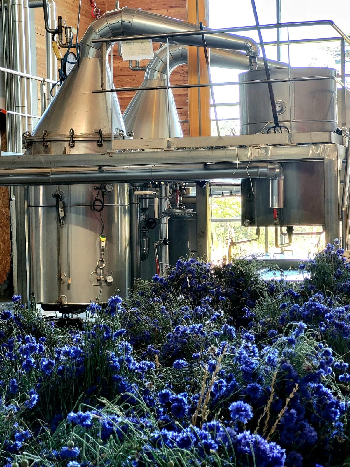 Decouvrez la distillation Idrolato di fiordaliso 100% biologico e artigianale