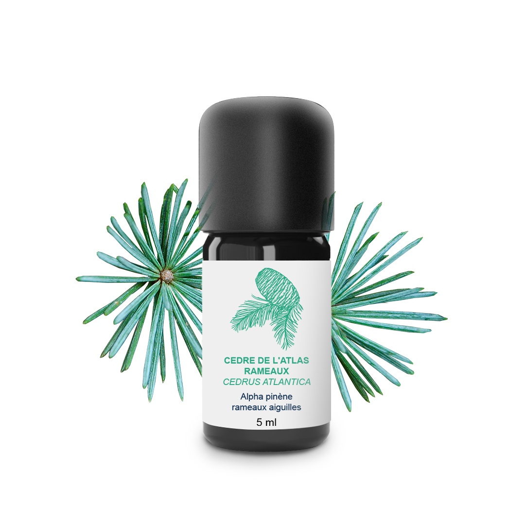 Olio essenziale di Cedro dell'Atlante 100% biologico e artigianale