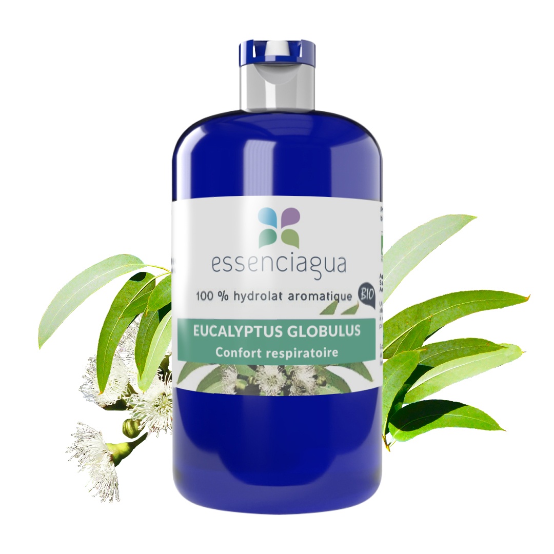 Idrolato di Eucalyptus globulus 100% biologico e artigianale