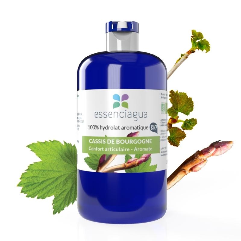 Idrolato di ribes nero 100% biologico e artigianale dalla Borgogna