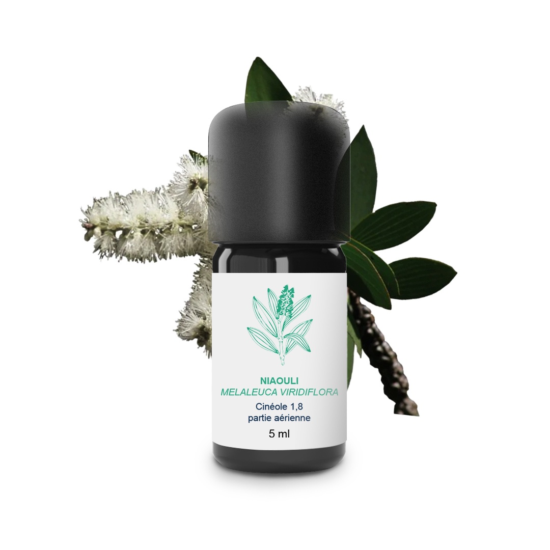 Olio essenziale di Niaouli 100% biologico e artigianale