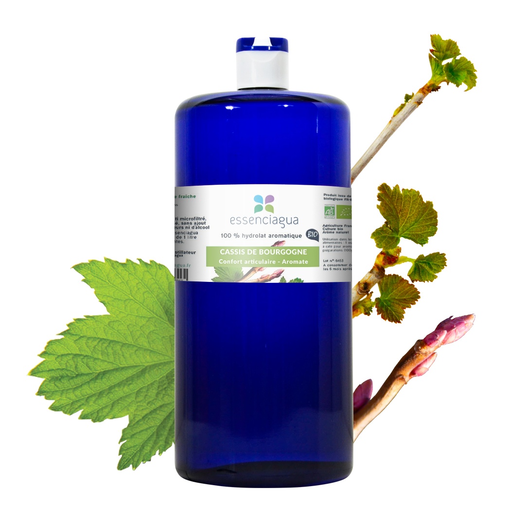 Idrolato di ribes nero 100% biologico e artigianale dalla Borgogna — photo 3