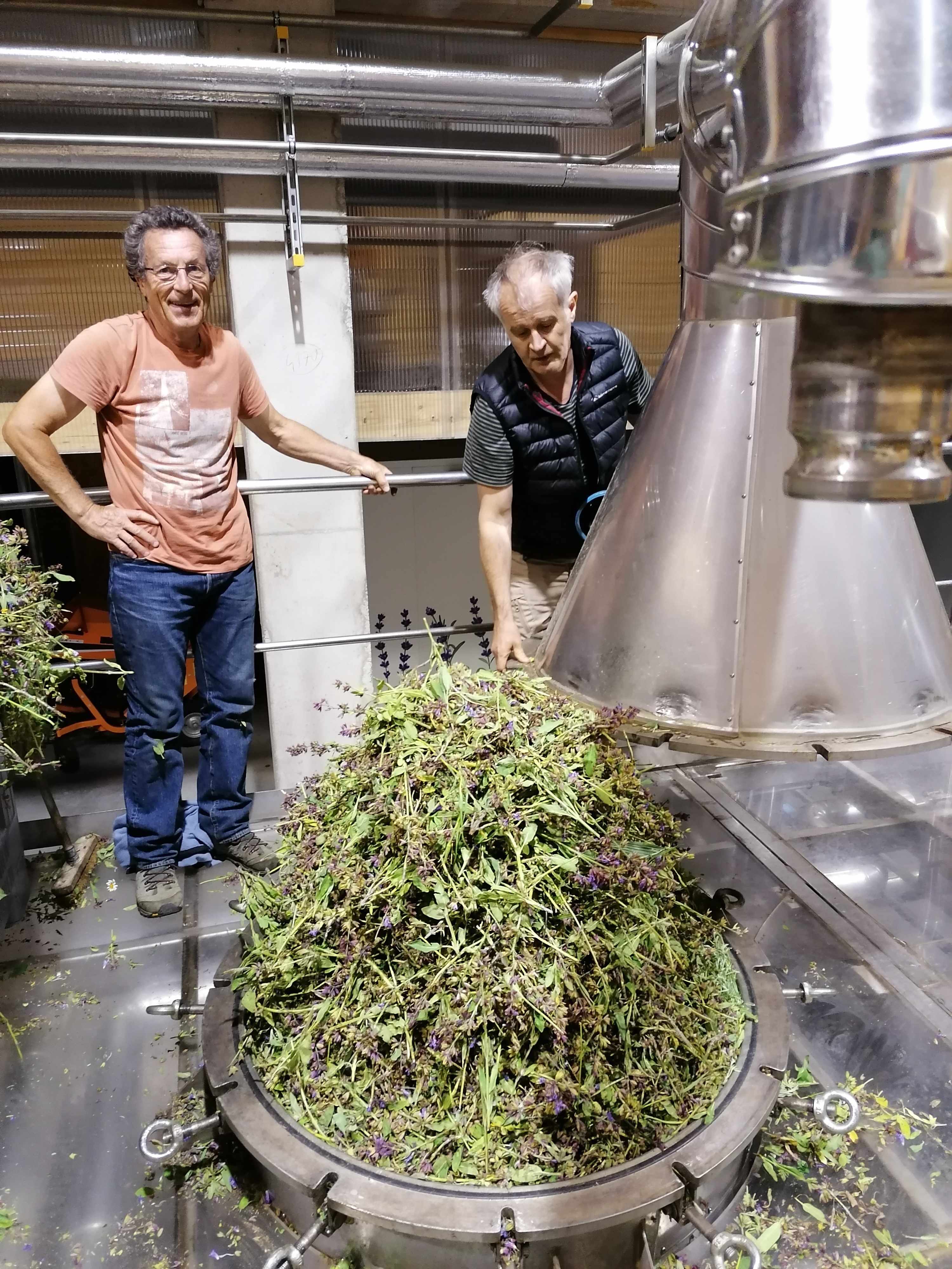 Decouvrez la distillation Idrolato di salvia 100% biologico e artigianale