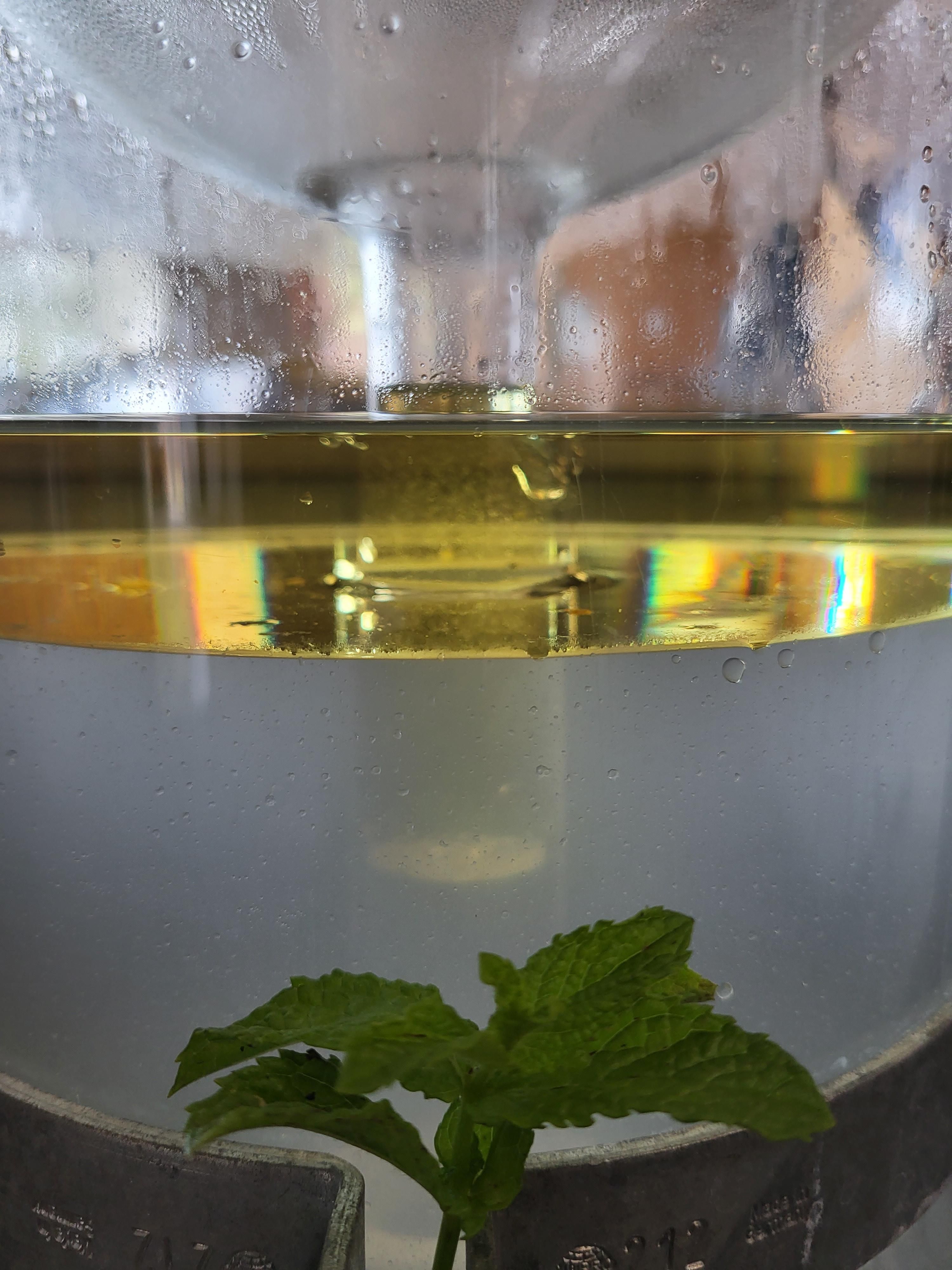 La distillazione di Menta speziata