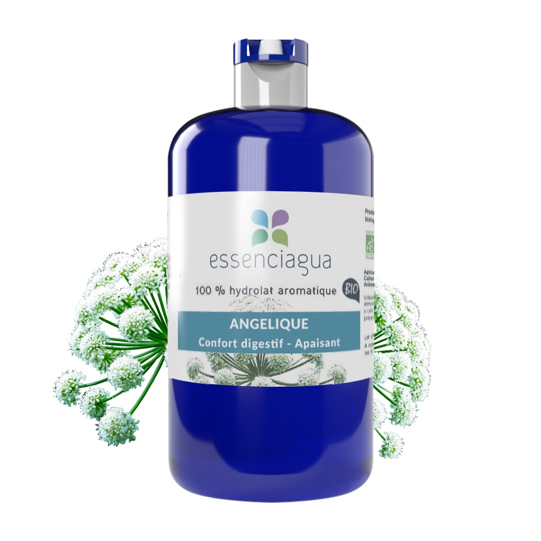Idrolato di Angelica (radice) 100% biologico e artigianale