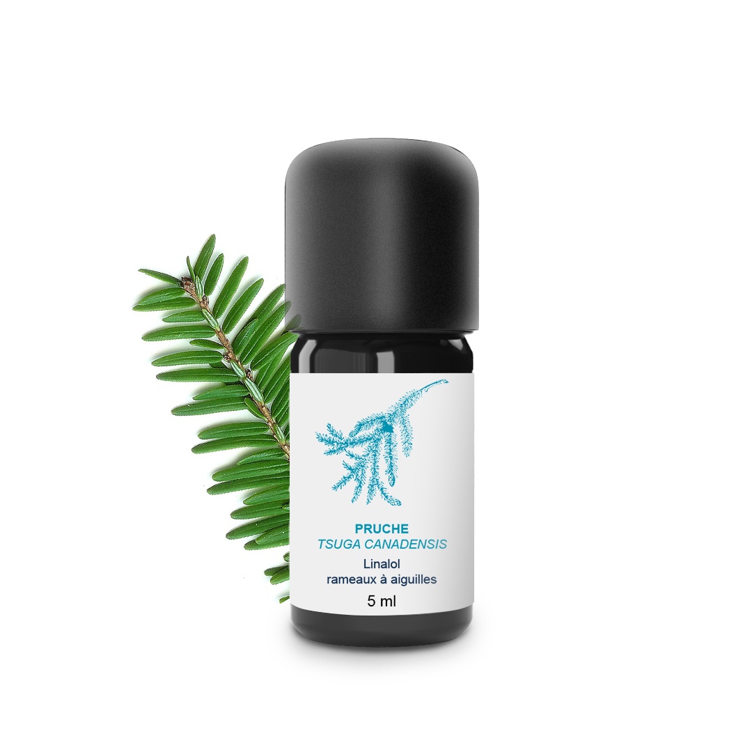 Olio essenziale di cicuta 100% biologico e artigianale