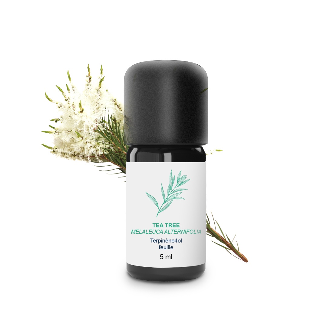 Olio essenziale di Tea Tree 100% biologico e artigianale