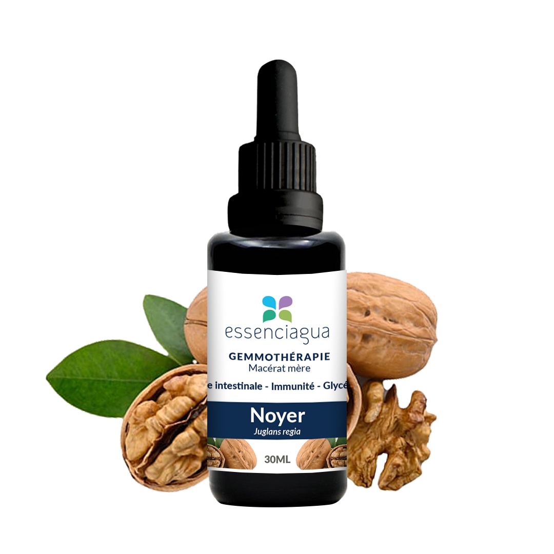Macerato di gemme di noce 100% biologico e artigianale