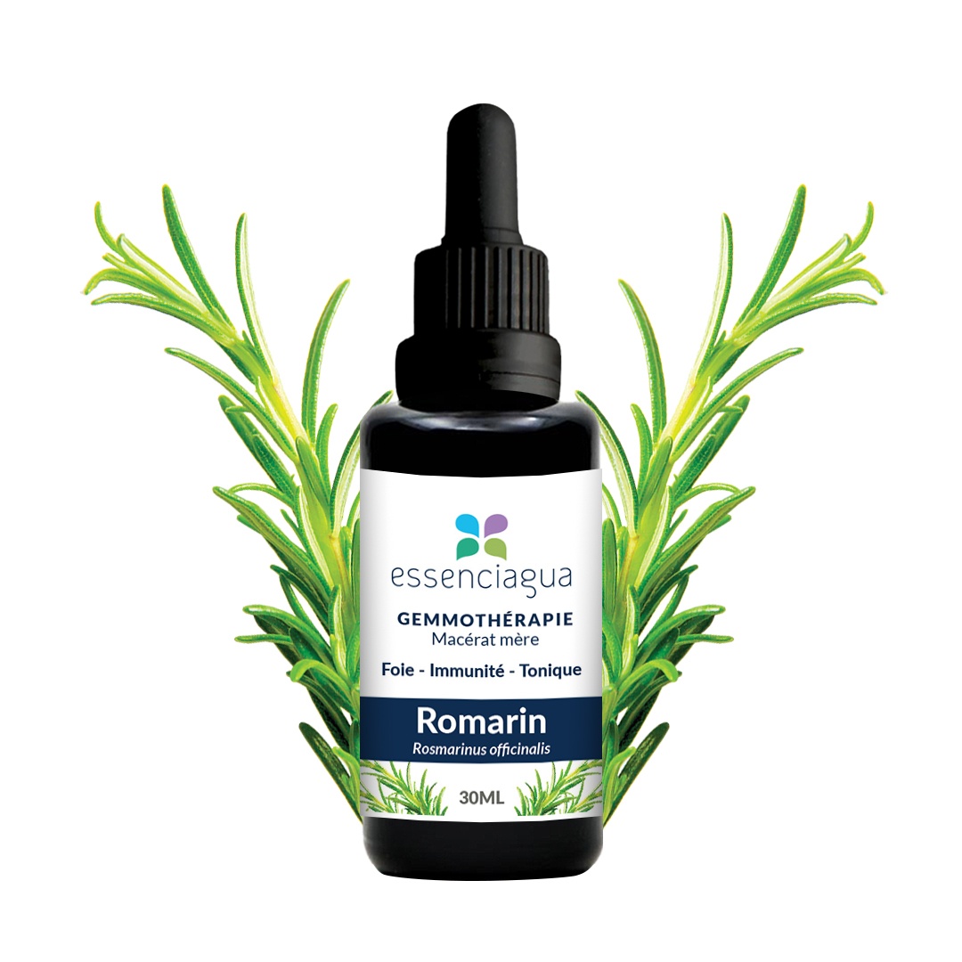 Macerato di gemme di rosmarino 100% biologico e artigianale