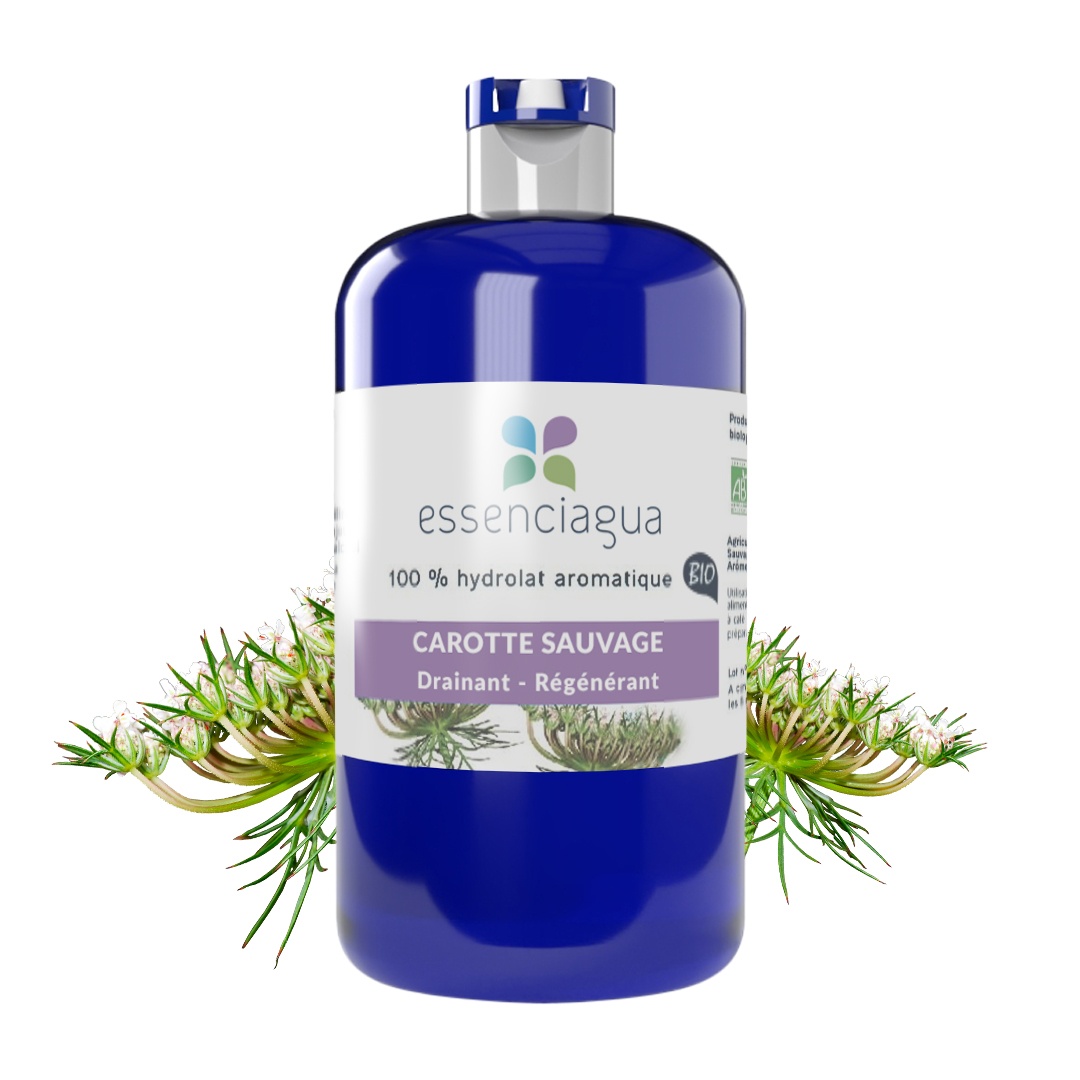 Idrolato di carota selvatica 100% biologico e artigianale