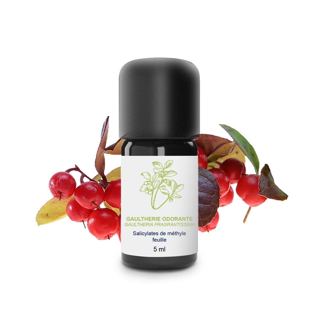 Olio essenziale di verde d'inverno 100% biologico e artigianale