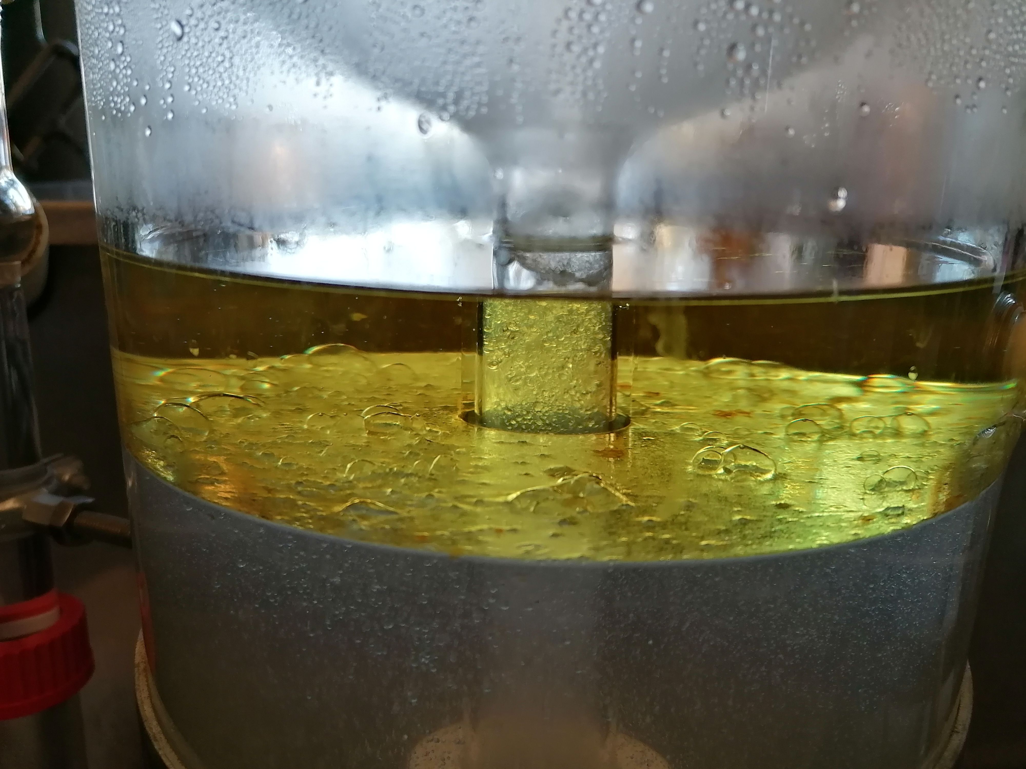 Decouvrez la distillation Olio essenziale di rosmarino officinale 100% biologico e artigianale