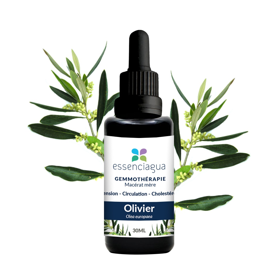 Macerato di gemme di olivo biologico 100% biologico e artigianale