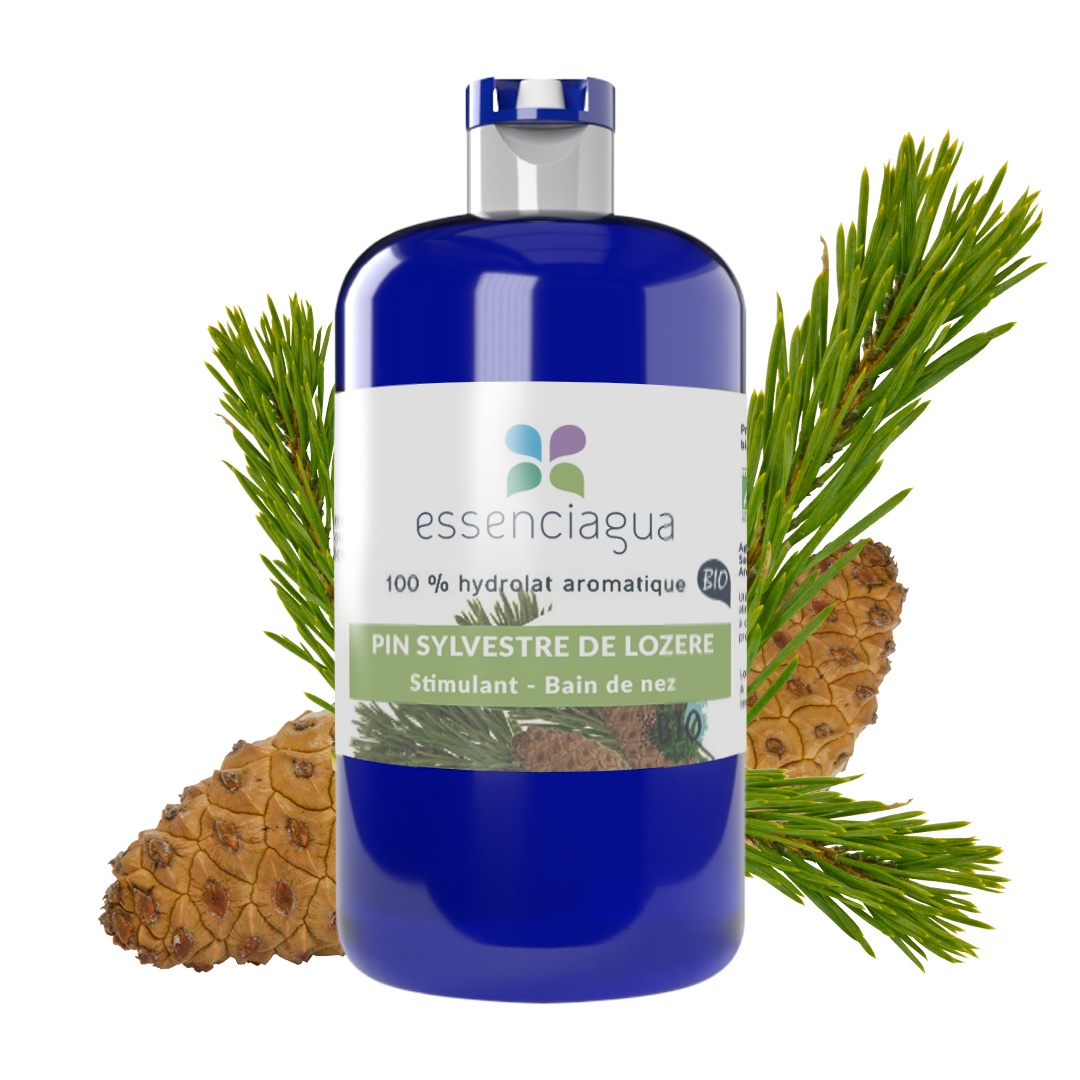 Idrolato di pino silvestre 100% biologico e artigianale