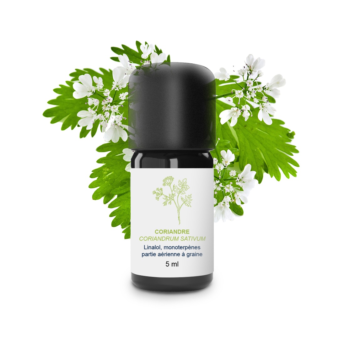 Olio essenziale di coriandolo (semi) 100% biologico e artigianale