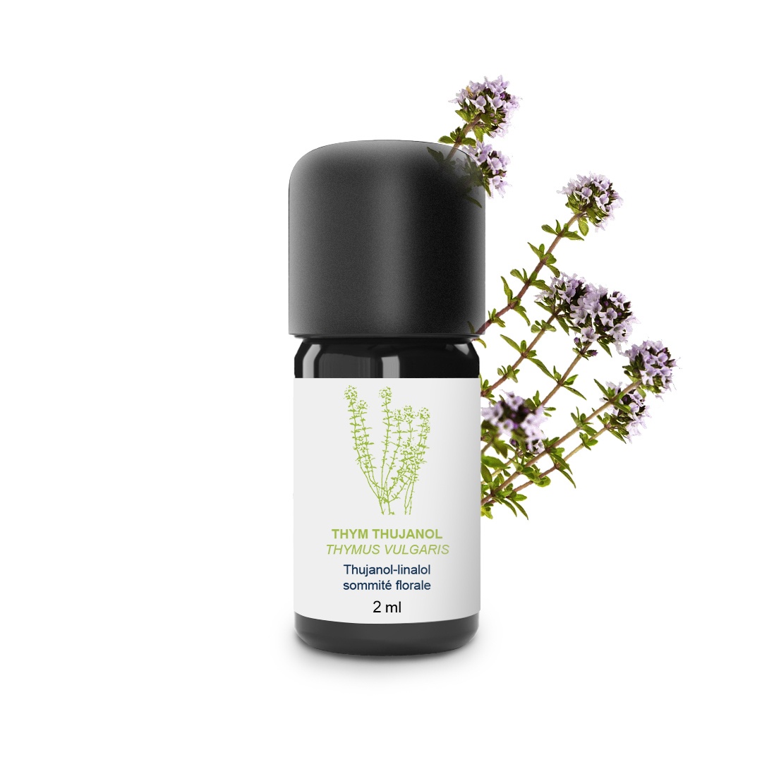 Olio essenziale di timo thujanol 100% biologico e artigianale
