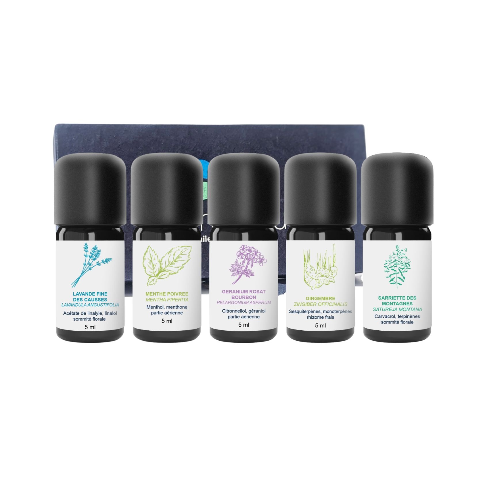 Kit di oli essenziali Bon Voyage 100% biologico e artigianale