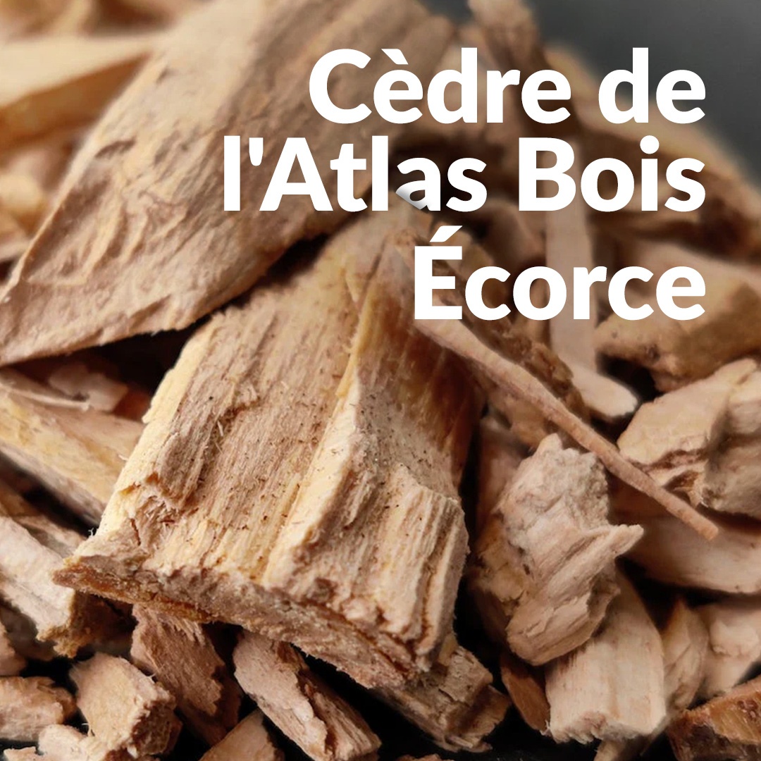 Cedro dell'Atlante (corteccia)