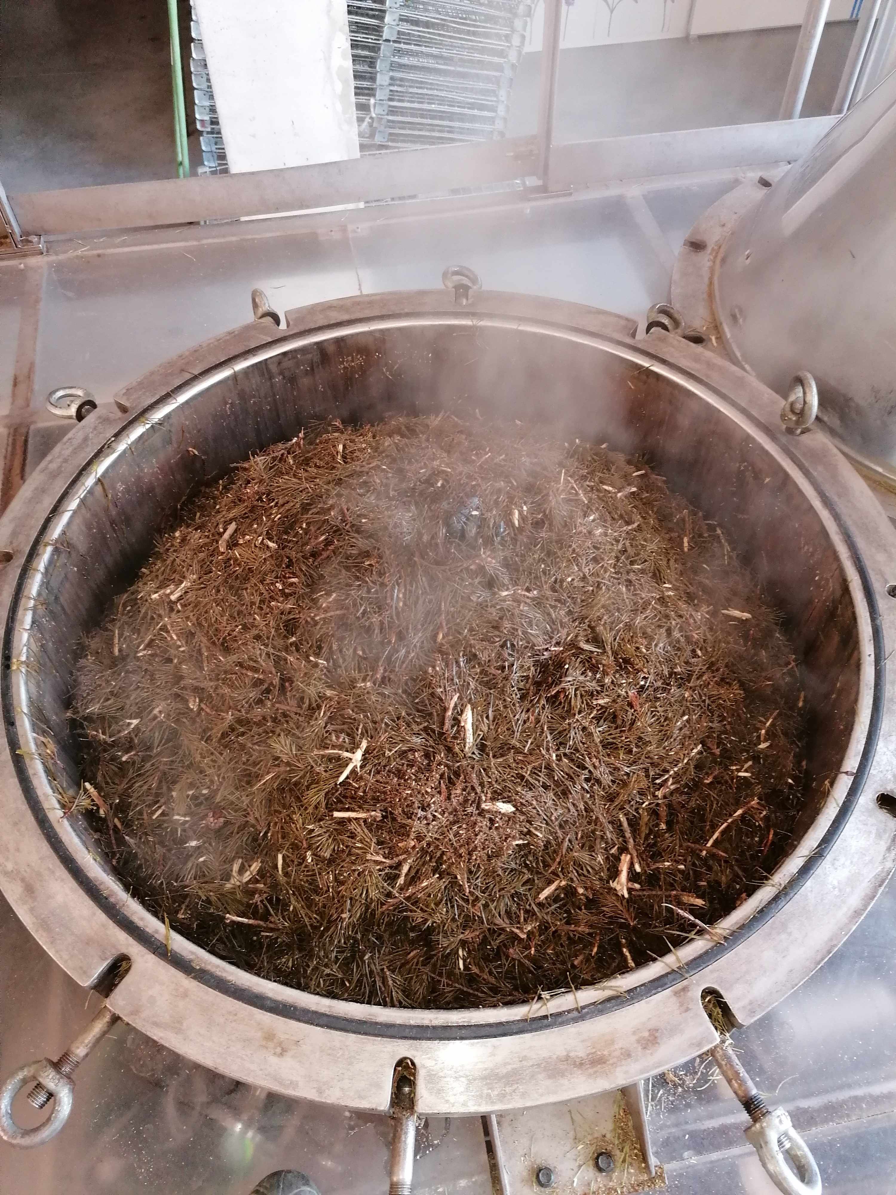 La distillazione di Pino silvestre