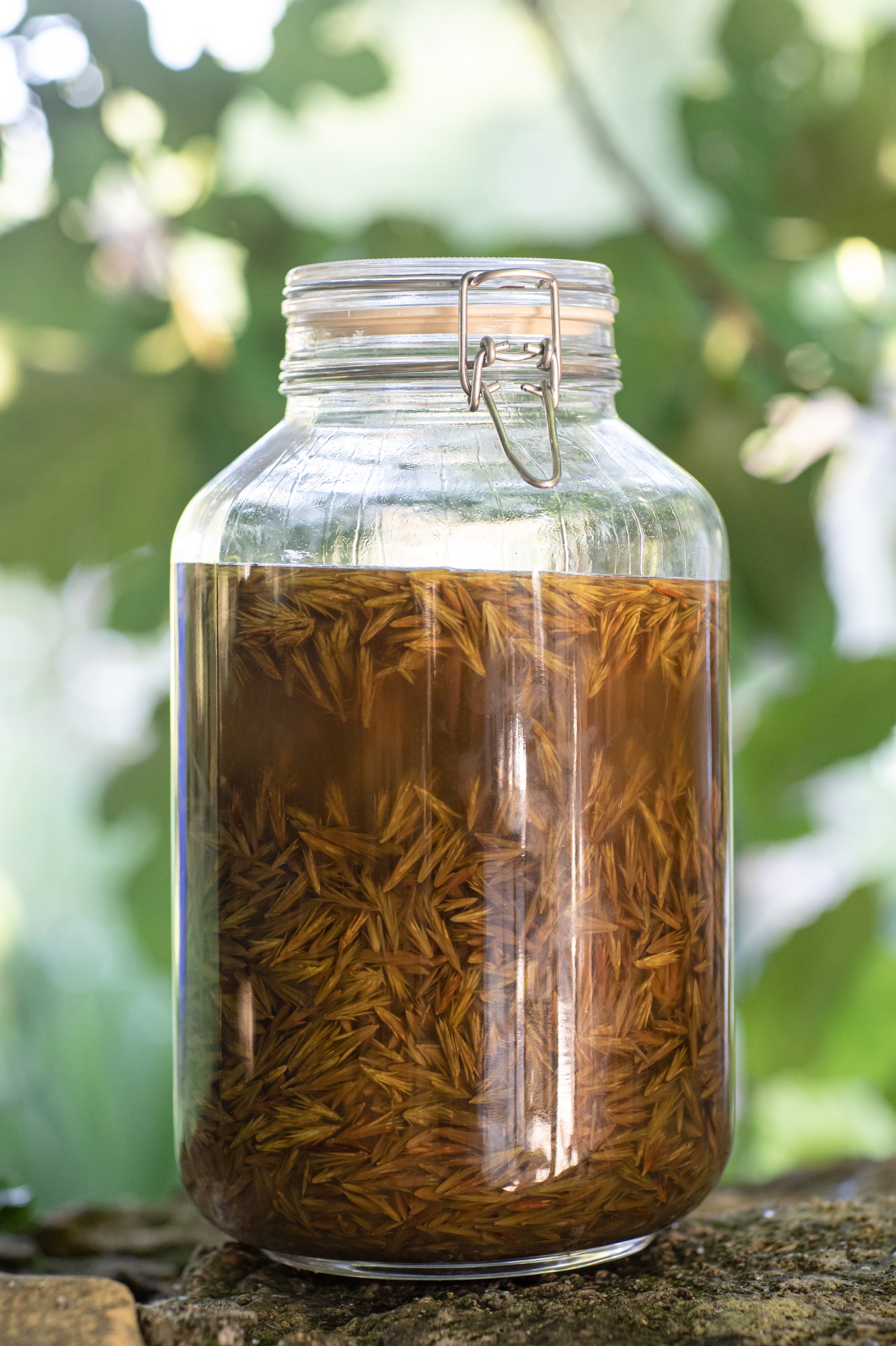 Decouvrez la distillation Macerato di gemme di lampone biologico 100% biologico e artigianale