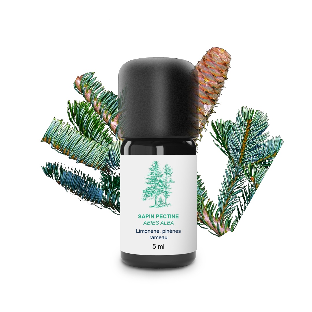 Olio essenziale di abete pectino 100% biologico e artigianale
