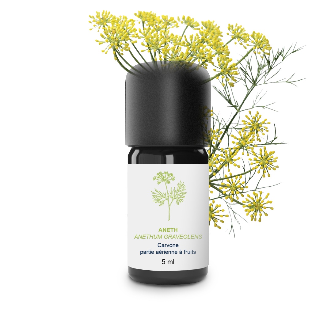 Olio essenziale di aneto 100% biologico e artigianale