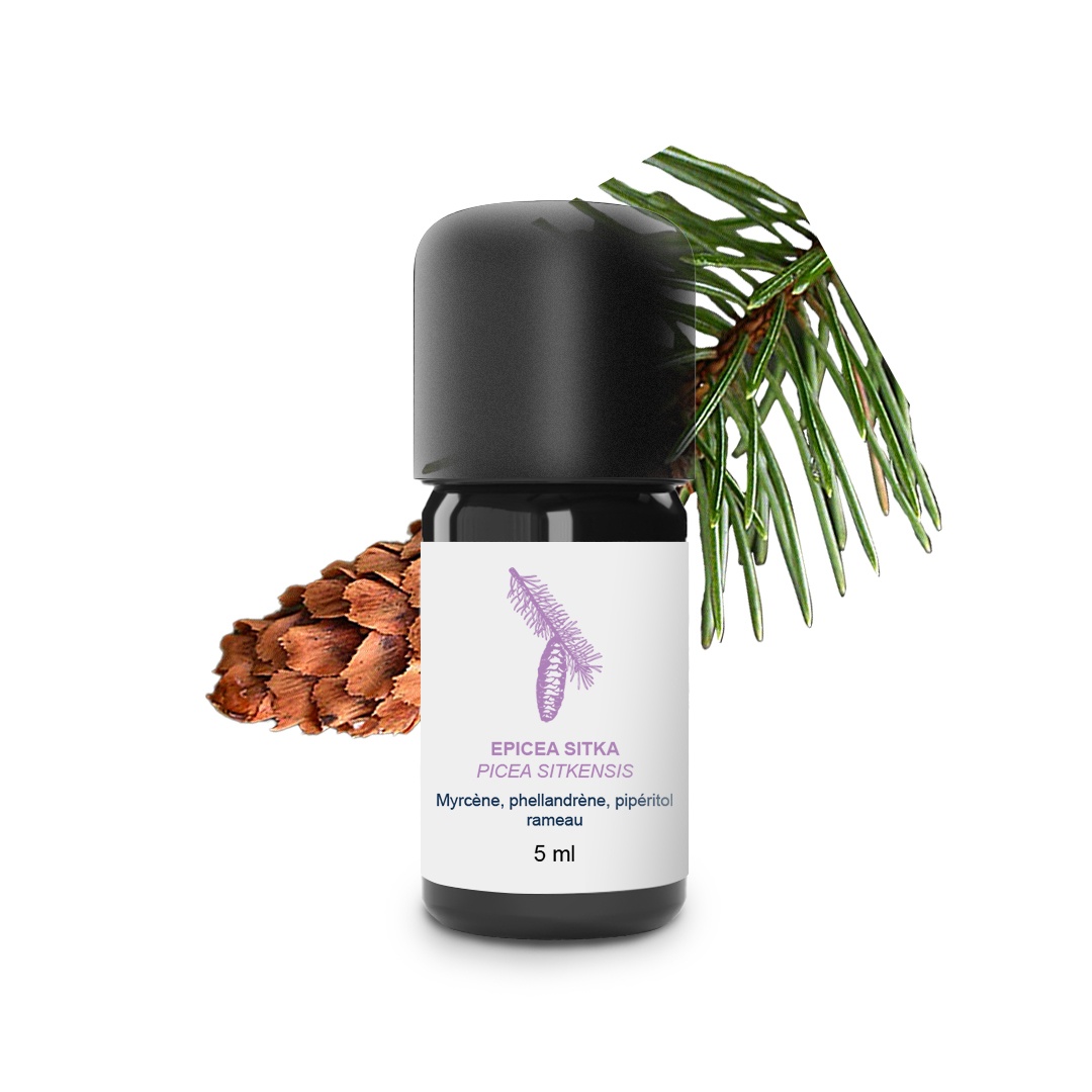 Olio essenziale di Epicea sitka 100% biologico e artigianale