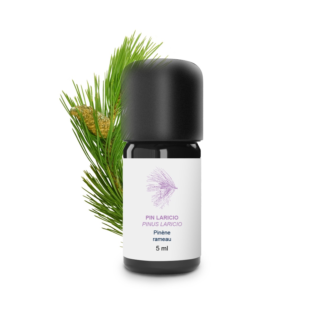 Olio essenziale di pino laricio 100% biologico e artigianale