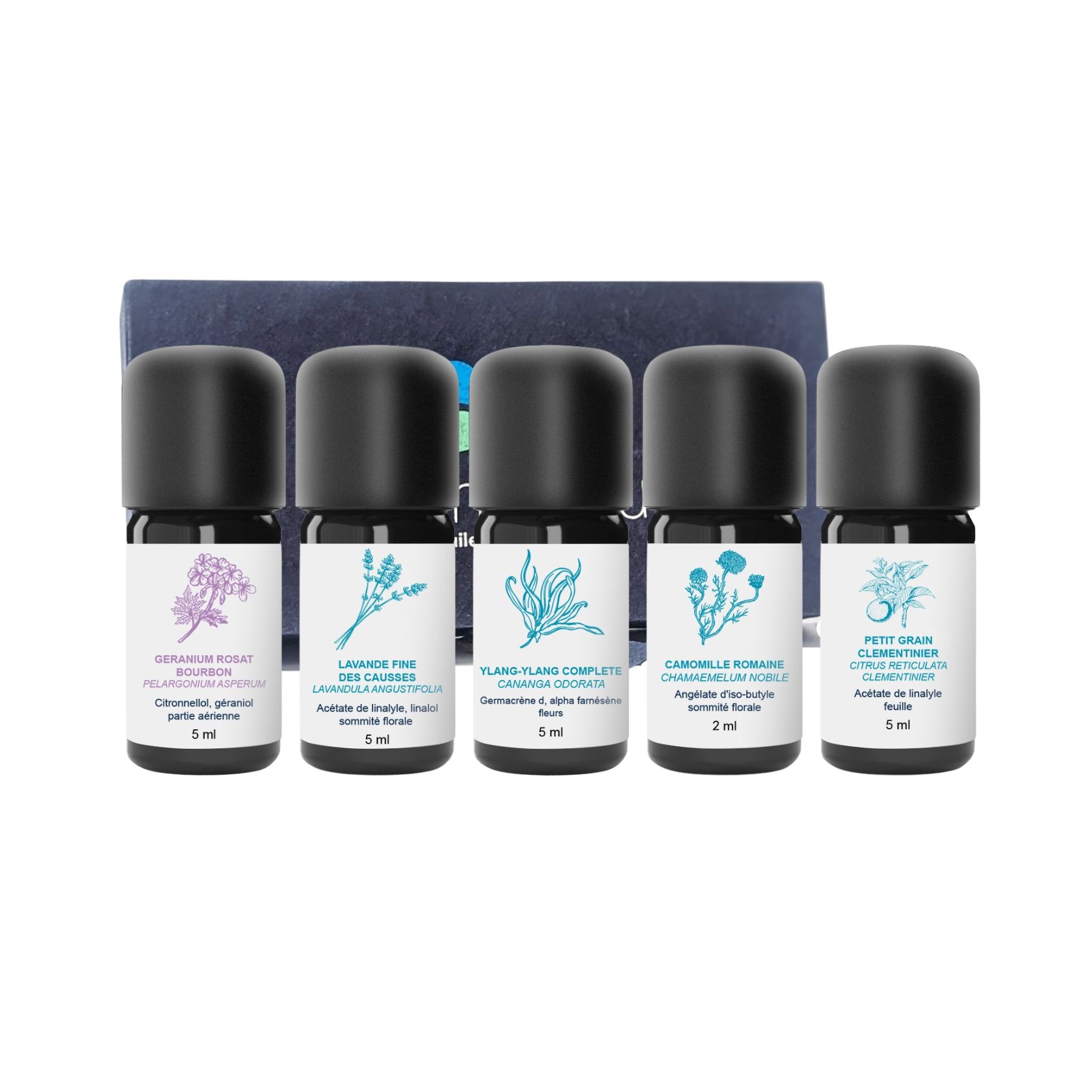 Kit di oli essenziali Cocooning 100% biologici e artigianali