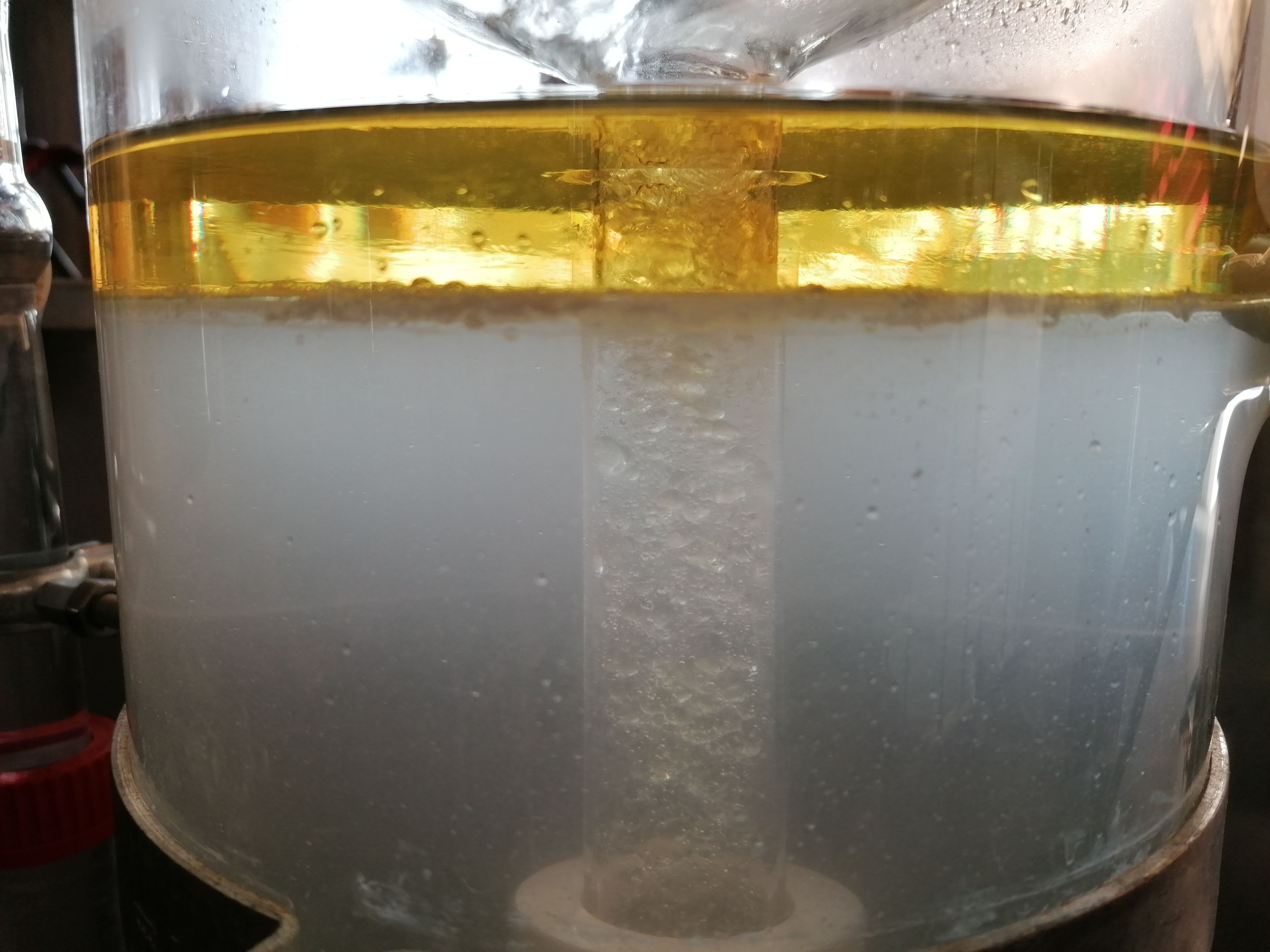 Decouvrez la distillation Olio essenziale di larice 100% biologico e artigianale