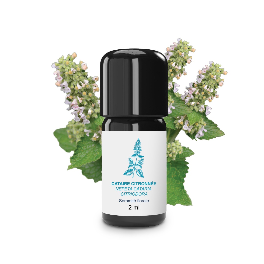 Olio essenziale di erba gatta e limone 100% biologico e artigianale