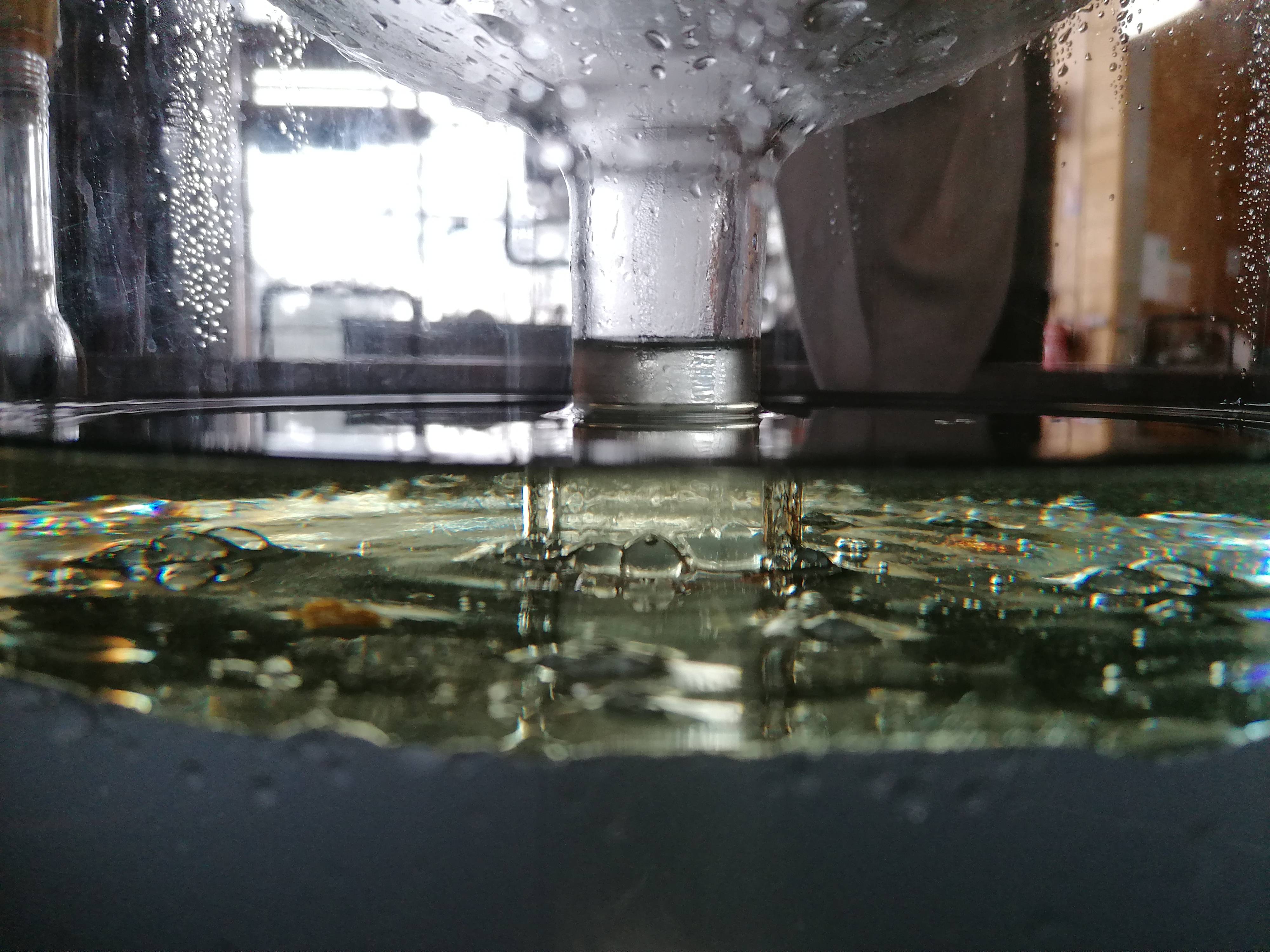 Decouvrez la distillation Olio essenziale di ginepro 100% biologico e artigianale